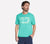TURQUOISE / PINK